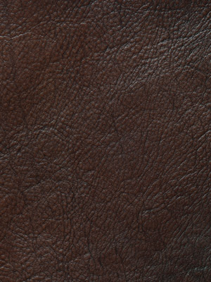Hand Coloured Brown