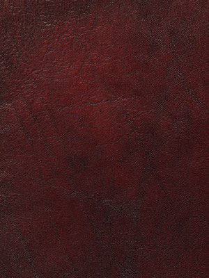 Hand Coloured Chestnut