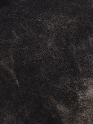 Hand Coloured Coal