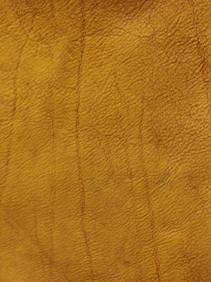 Hand Coloured Gold