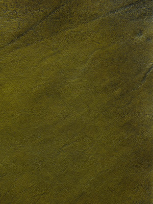 Hand Coloured Green