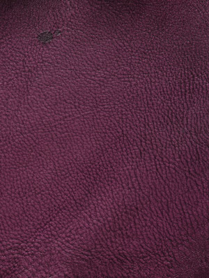 Hand Coloured Plum
