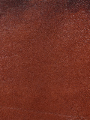 Hand Coloured Tan