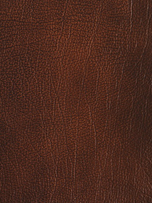 Antiqued Brown