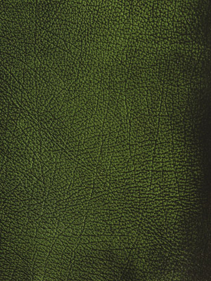 Antiqued Green