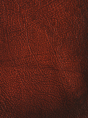 Antiqued Tan