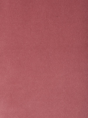 Cotton Velvet Ballerina