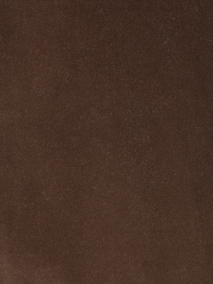 Cotton Velvet
  Coffee