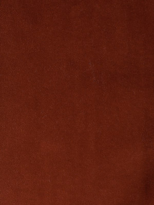 Cotton Velvet Gingerbread