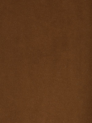 Cotton Velvet Hazel