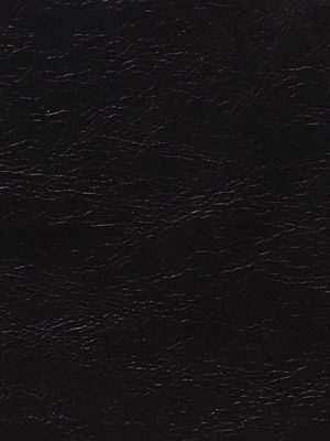 Saddle Black