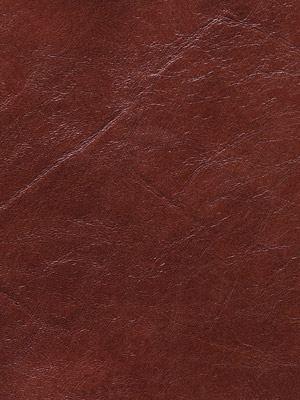 Saddle Brown