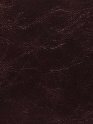 Saddle Chocolate