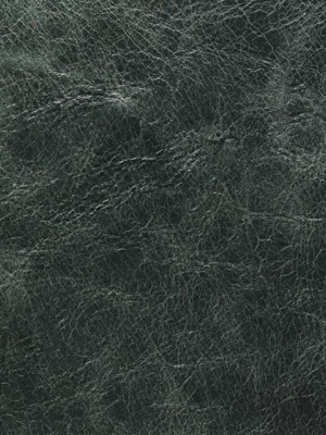 Saddle Foresta