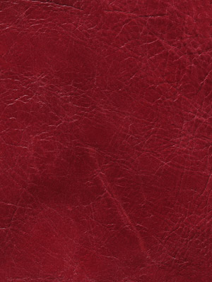 Saddle Oxblood