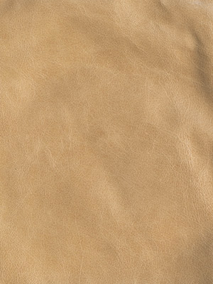 Saddle Parchment