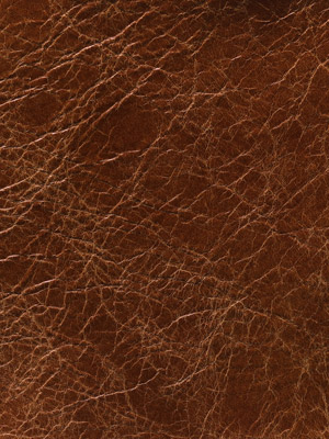 Saddle Rust