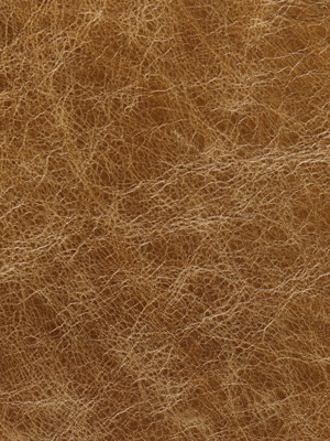 Saddle Sage