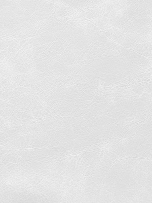 Saddle White