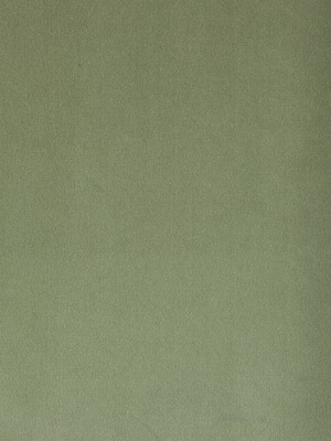 Cotton Velvet Sage