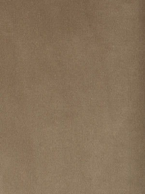 Cotton Velvet Taupe
