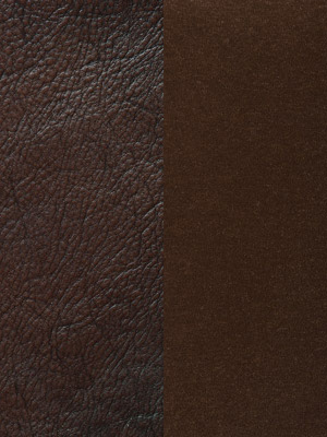 Brown-Fudge