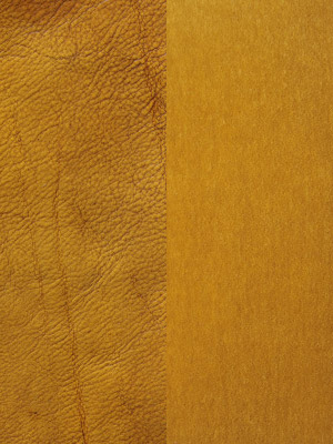Gold-Honey
