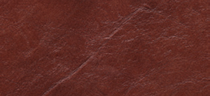 Brown-saddle