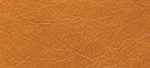 Tan-saddle